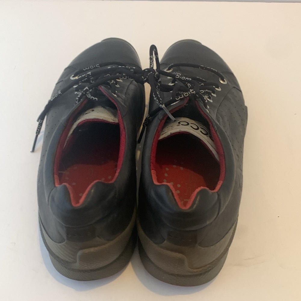Ecco Biom View 3